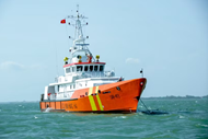 Sick sailor successfully rescued off Vung Tau waters